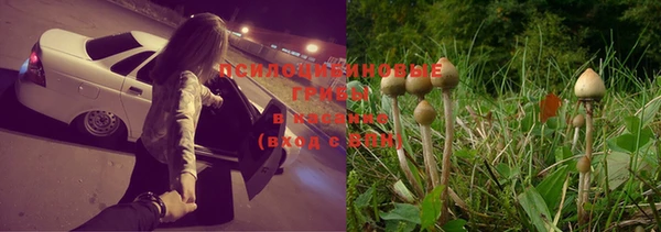 круглые Дмитровск