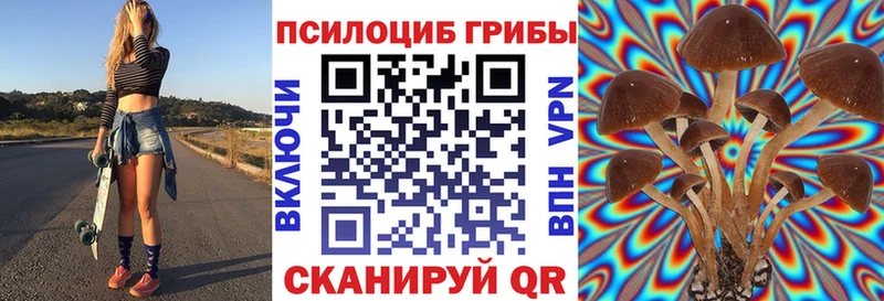 Купить где  Ртищево  Псилоцибиновые грибы мицелий 